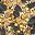 Black And Gold
