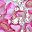 Pink And Silver