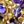 Purple And Gold