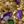 Purple And Green