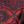Red Floral Mosaic