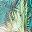 Olive Green Palm