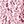Pink Contrast