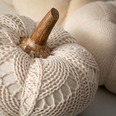 Haven Living Bohemian Cream Plush Pumpkins Table Decor 3-Piece Set