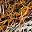 Brown Multi Fabric