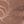 Rose Tan