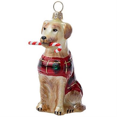 Joy To The World Yellow Lab With Candy Cane And Plaid Coat Polish Glass Ornament