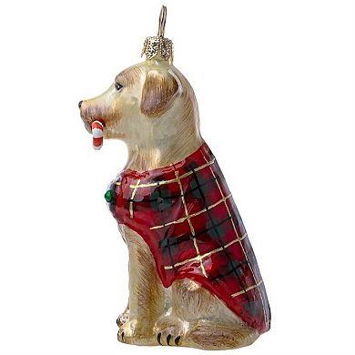 Joy To The World Yellow Lab With Candy Cane And Plaid Coat Polish Glass Ornament