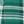White Midnight Vine