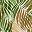 Olive Multi Palms