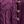 Dark Berry