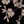 Black Khaki Flowers