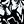 Black White Flowers