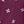 Deep Claret Eyelet