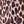 Oatmeal Animal Print