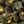 Pinecone
