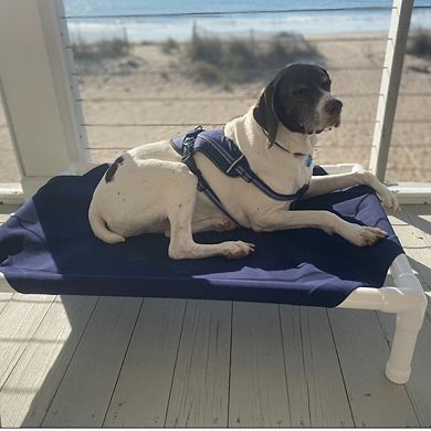 Truman + Teddy (Take Me to Greece) Easy-to-clean Handcrafted Elevated, Cot-Style Dog Bed 
