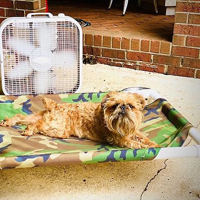 Truman + Teddy (Take Me to Greece) Easy-to-clean Handcrafted Elevated, Cot-Style Dog Bed 