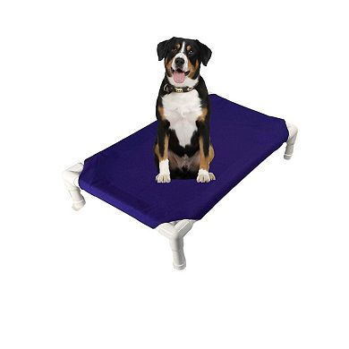 Truman + Teddy (Concord) Easy-to-clean Handcrafted Elevated, Cot-Style Dog Bed 