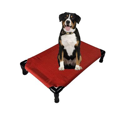 Truman + Teddy (Sun Burn) Easy-to-clean Handcrafted Elevated, Cot-Style Dog Bed 