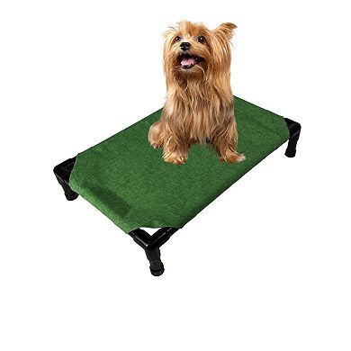 Truman + Teddy (Spruce) Easy-to-clean Handcrafted Elevated, Cot-Style Dog Bed 