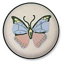 Throw Pillows & Rugs