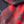 Crimson Black