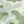 Green Camo
