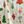 Twinkling Ornaments