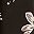 Black Blossom