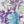 Pretty Violet Floral