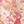 Sweet Coral Floral