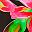 Pink Floral Bloom