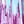 Pretty Orchid Texture
