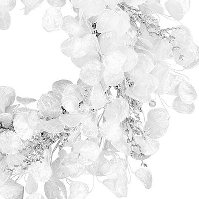 National Tree Company 24-in. Winter Frost White Artificial Christmas Wreath