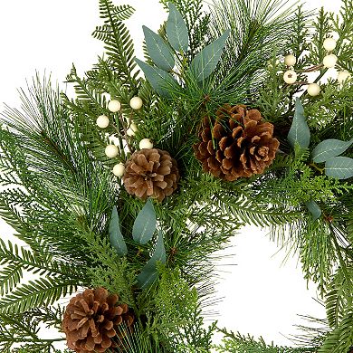 National Tree Company 24-in. Inspired By Nature Artificial Christmas Wreath