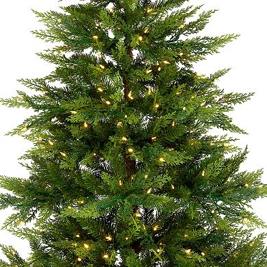 National Tree Company 7.5-ft. Festive Fern 600-Light Artificial Christmas Tree