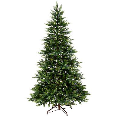 National Tree Company 7.5-ft. Festive Fern 600-Light Artificial Christmas Tree