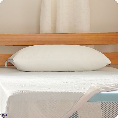 Sealy Dreamlife™ Shredded Foam Standard Pillow