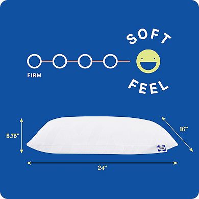 Sealy Dreamlife™ Shredded Foam Standard Pillow