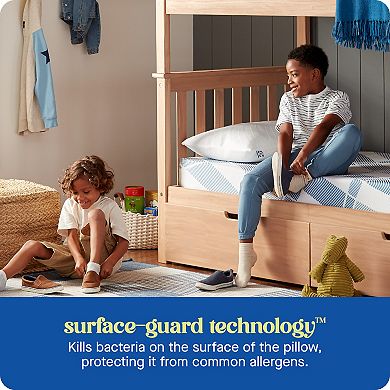 Sealy Dreamlife™ Shredded Foam Standard Pillow