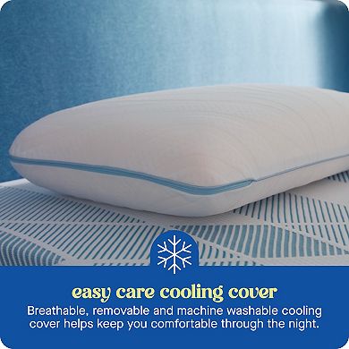Sealy Dreamlife™ 2-pk. Memory Foam Standard Pillows