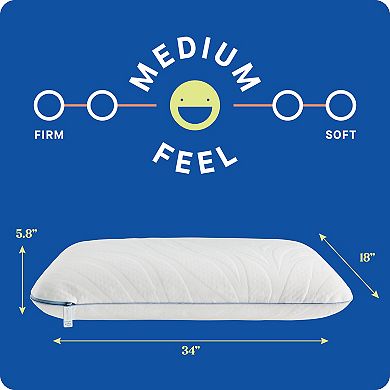 Sealy Dreamlife™ 2-pk. Memory Foam Standard Pillows