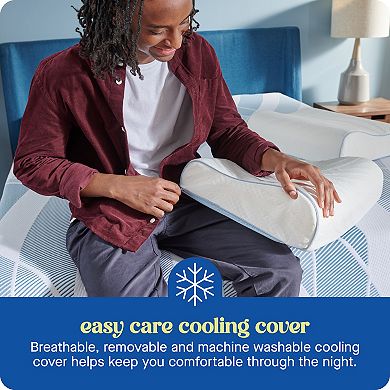 Sealy Dreamlife™ Contour Memory Foam Standard Pillow