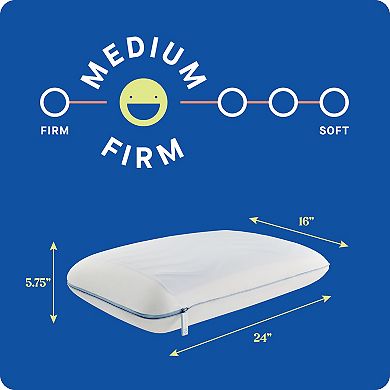 Sealy Dreamlife™ 2-pk. Memory Foam Gel Standard Pillows