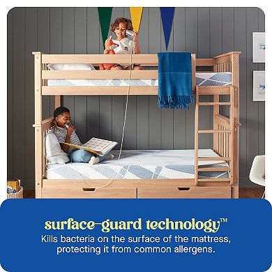 Sealy Dreamlife™ 8-in. Foam Mattress-in-a-Box
