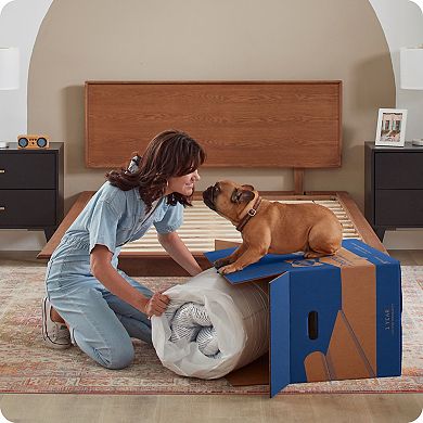 Sealy Dreamlife™ 8-in. Foam Mattress-in-a-Box
