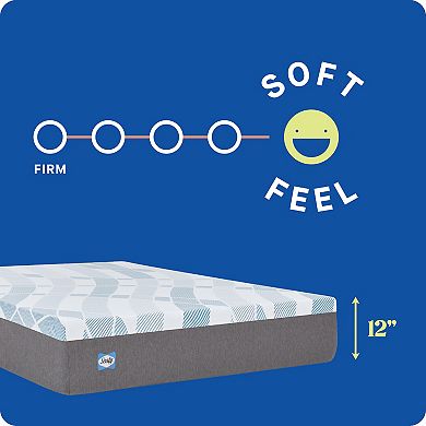 Sealy Dreamlife™ 12-in. Foam Mattress-in-a-Box