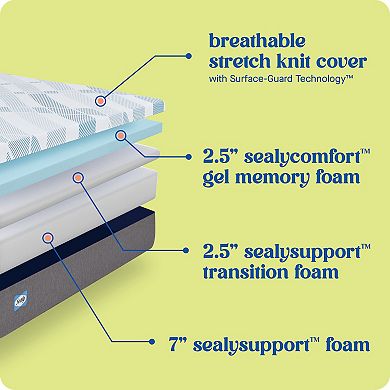 Sealy Dreamlife™ 12-in. Foam Mattress-in-a-Box