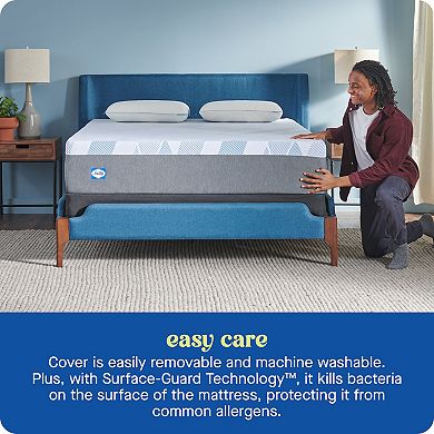 Sealy Dreamlife™ 14-in. Foam Mattress-in-a-Box